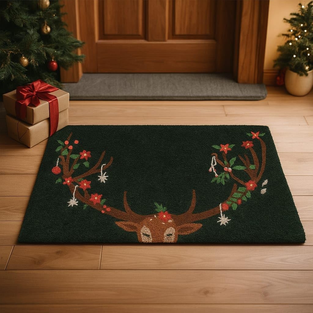 Folkulture Door Mat, Welcome Mat, Welcome Matt Outdoor Doormats - 16" x 28"