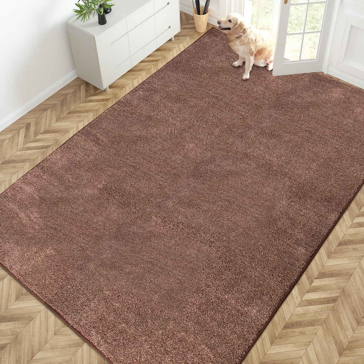 PURRUGS Dirt Trapping Indoor Door Mat, 24" x 35.5", Charcoal