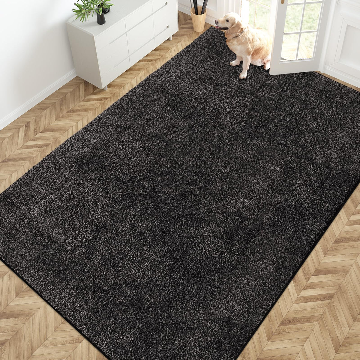 PURRUGS Dirt Trapping Indoor Door Mat, 24" x 35.5", Charcoal
