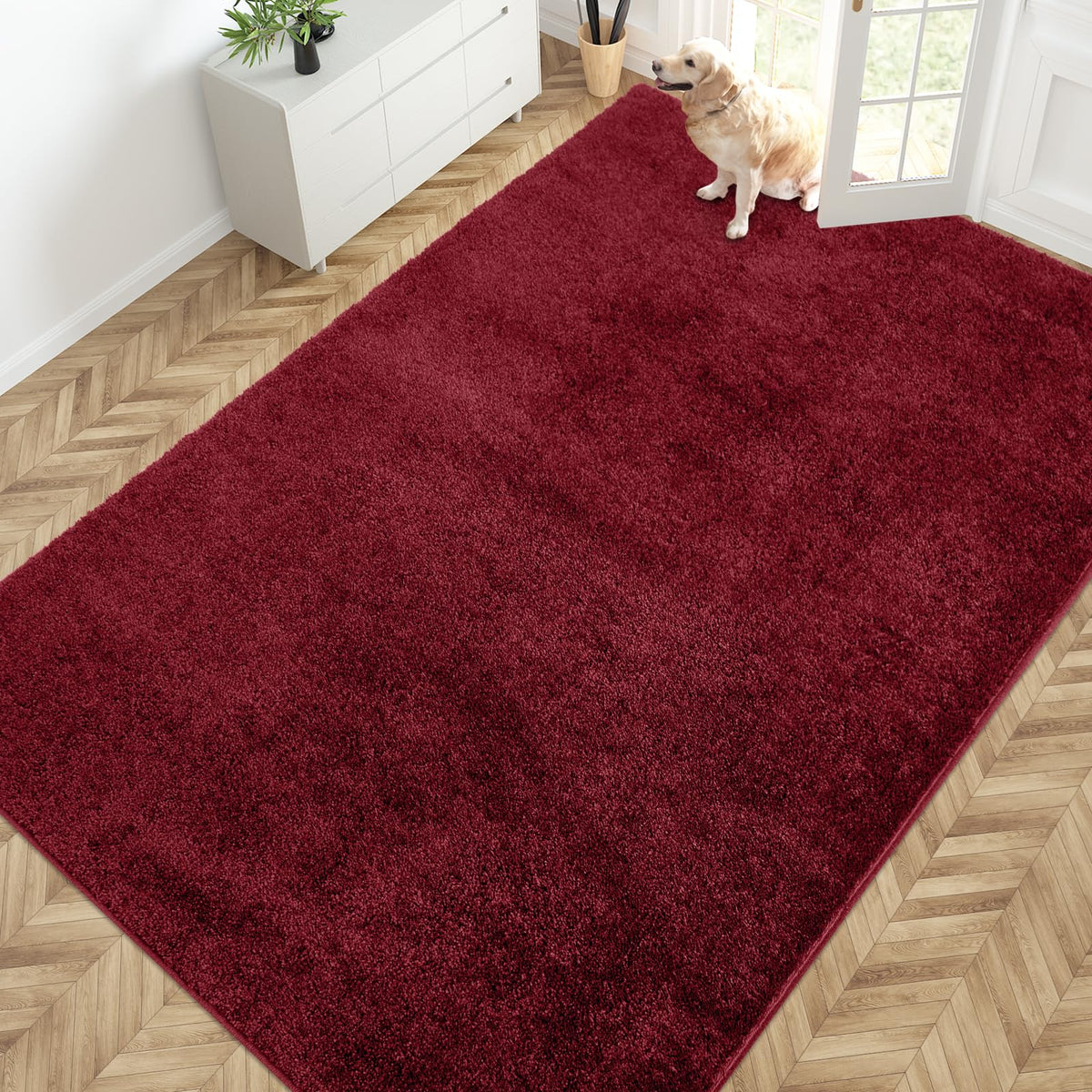 PURRUGS Dirt Trapping Indoor Door Mat, 24" x 35.5", Charcoal
