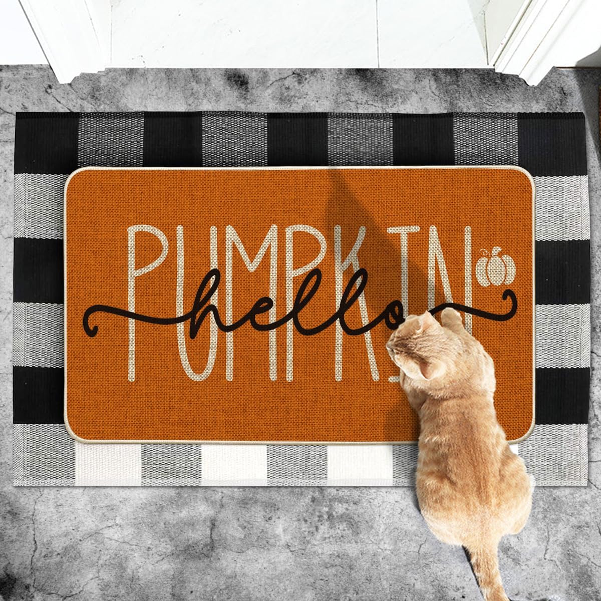 Artoid Mode Orange Hello Pumpkin Fall Doormat 17x29 Inch