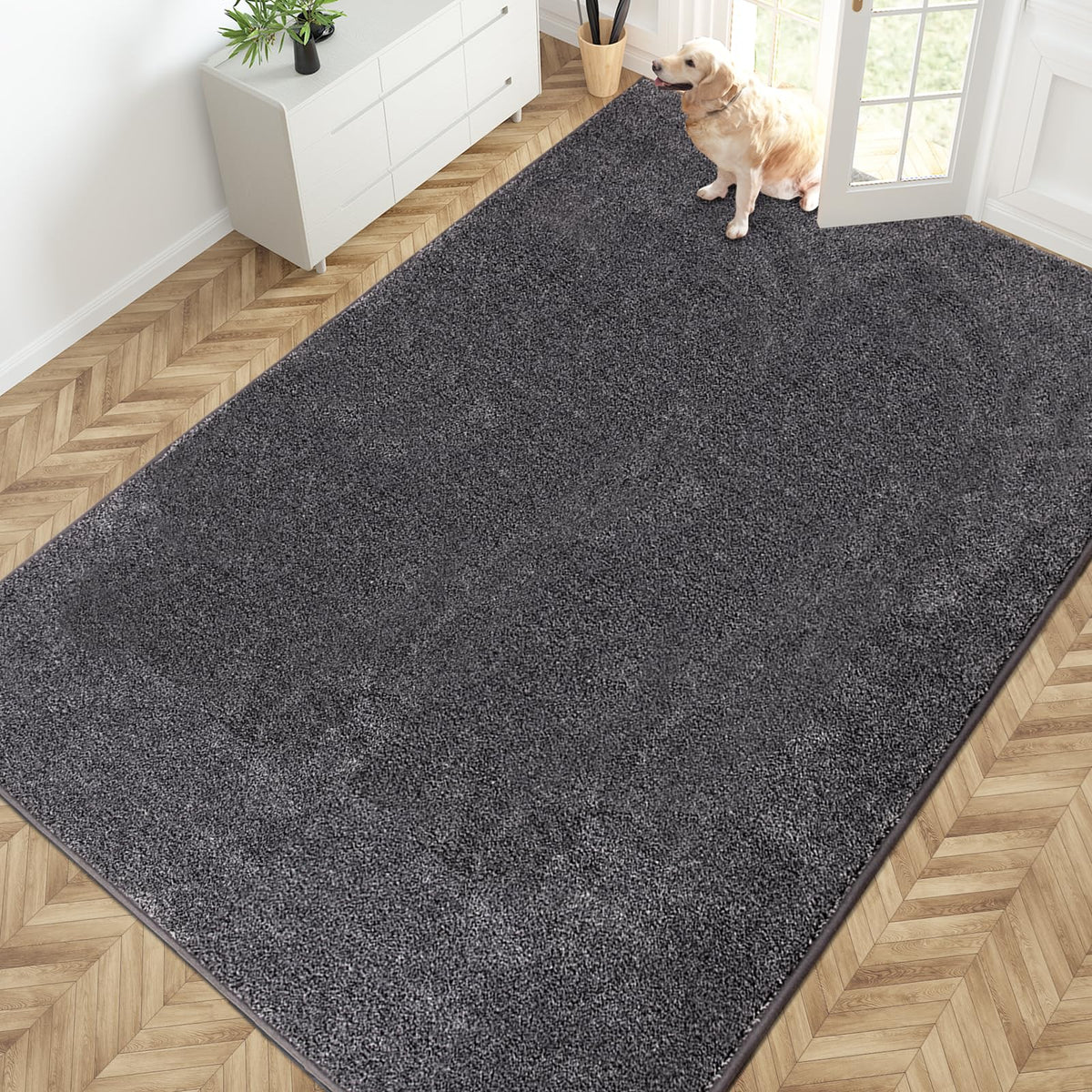 PURRUGS Dirt Trapping Indoor Door Mat, 24" x 35.5", Charcoal