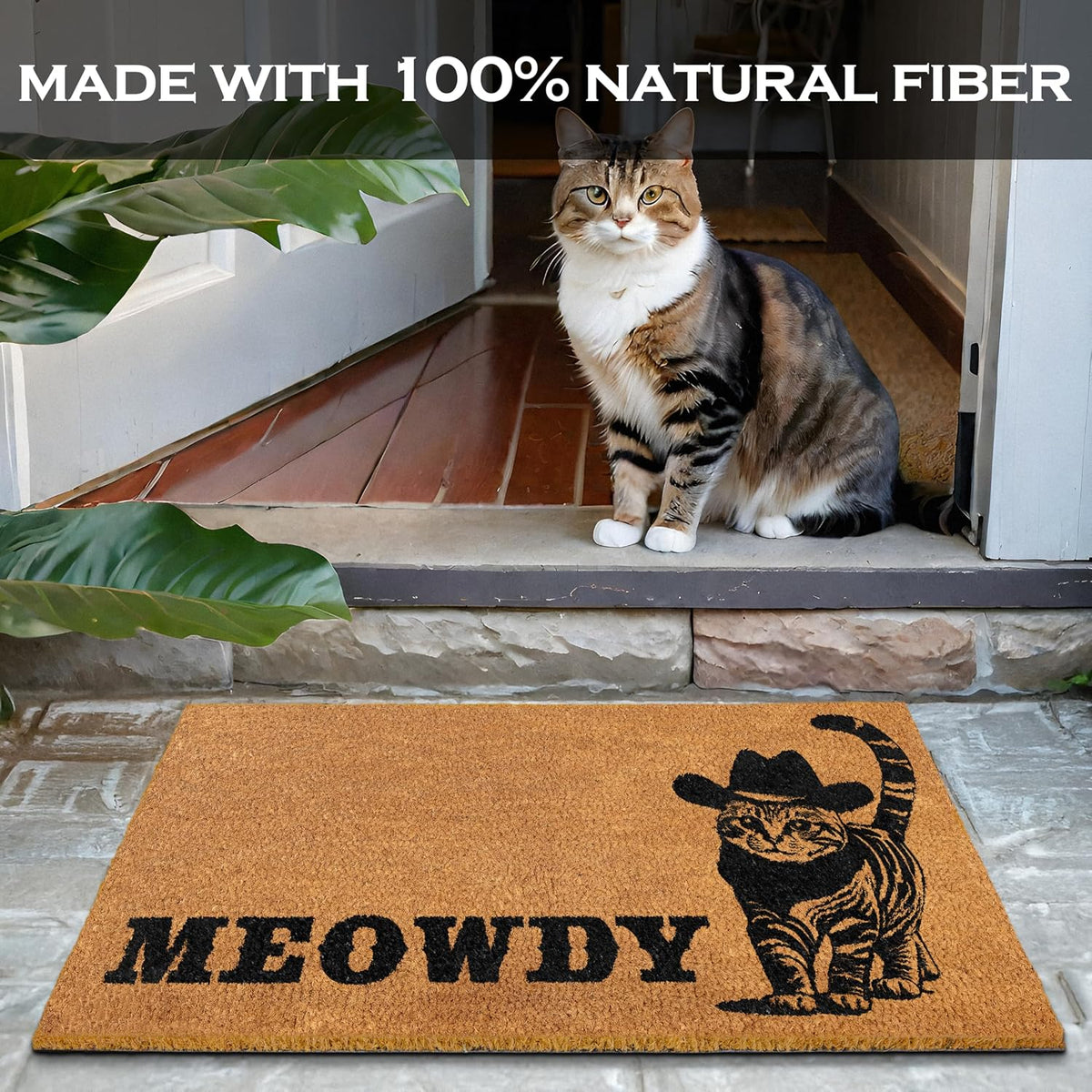 Meowdy Doormat 30x17 Inch, Black Cat Welcome Mat Coir, Cat-lover Gift Rug