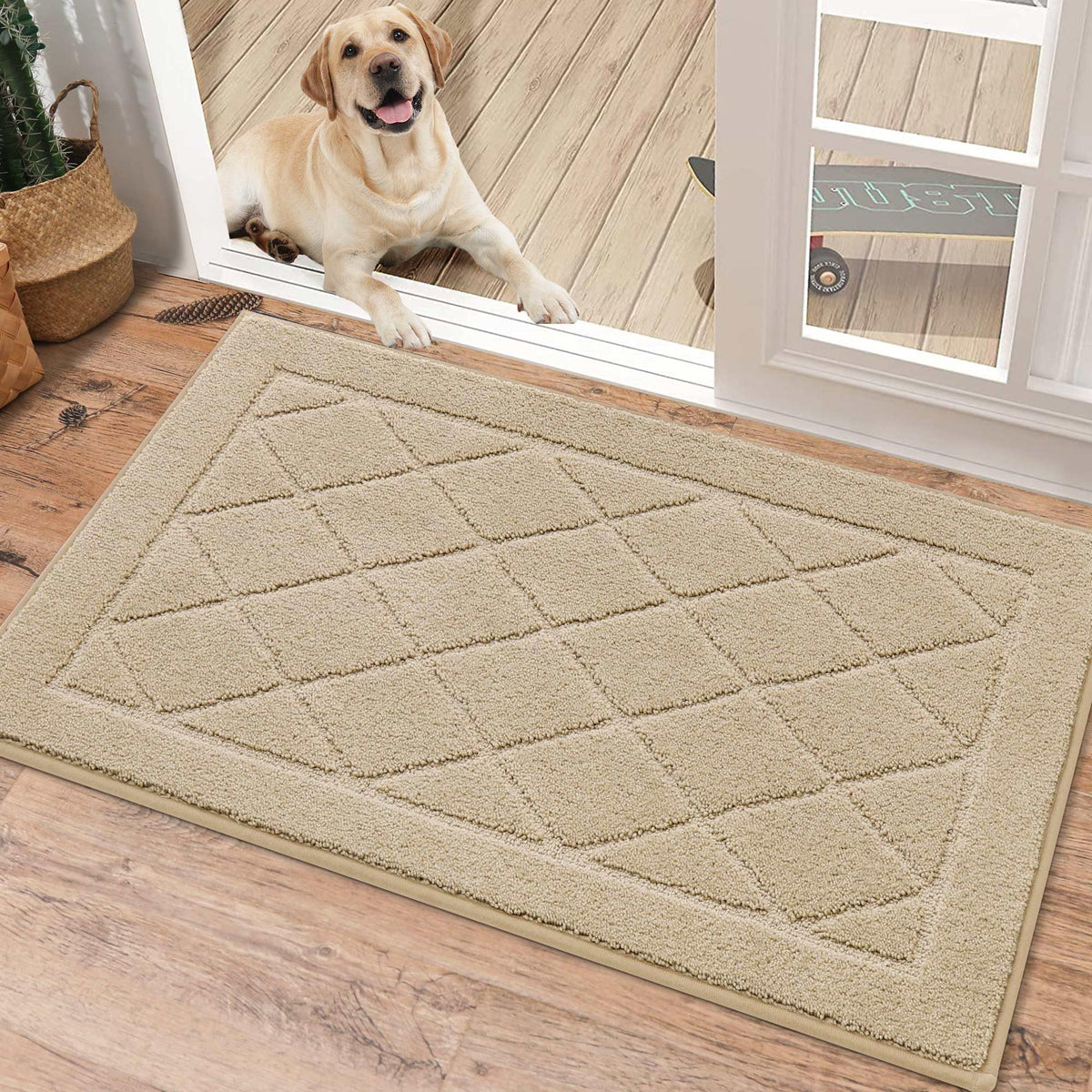 BEQHAUSE Dirt Trapper Door Mat 24" x 36", Doormat Non-Slip, Dark Grey