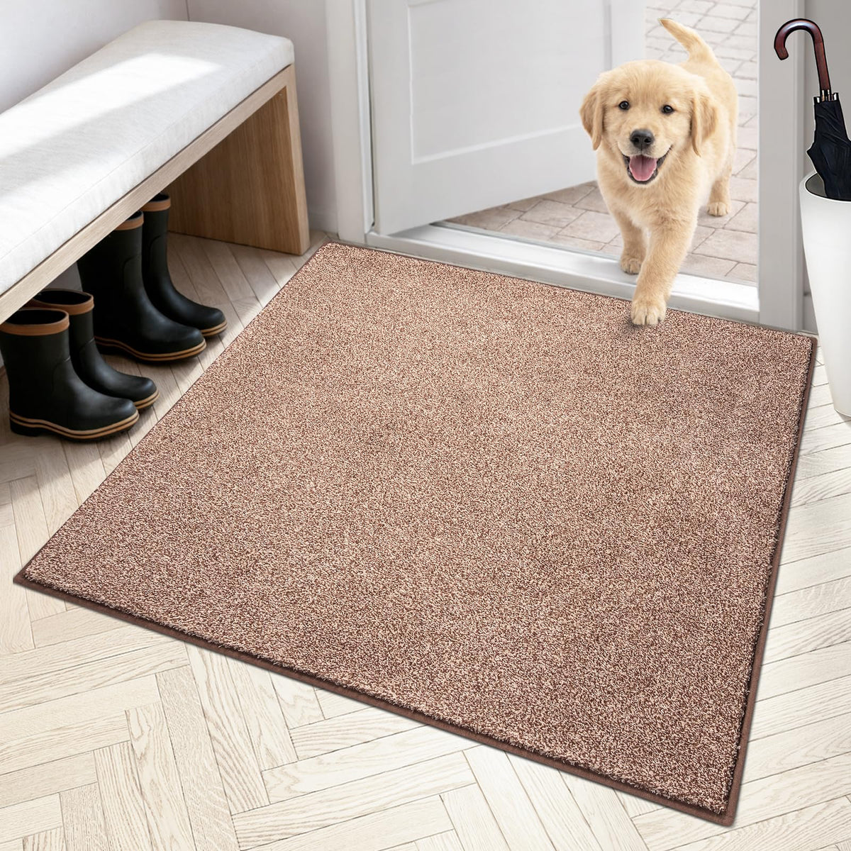 PURRUGS Dirt Trapping Indoor Door Mat, 24" x 35.5", Charcoal