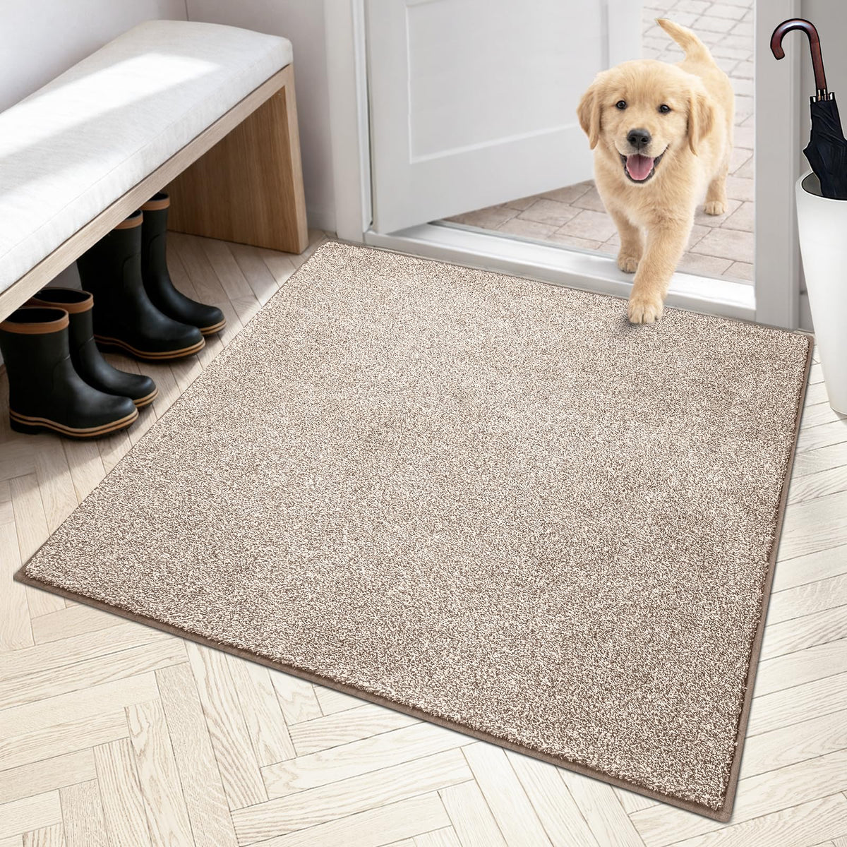 PURRUGS Dirt Trapping Indoor Door Mat, 24" x 35.5", Charcoal