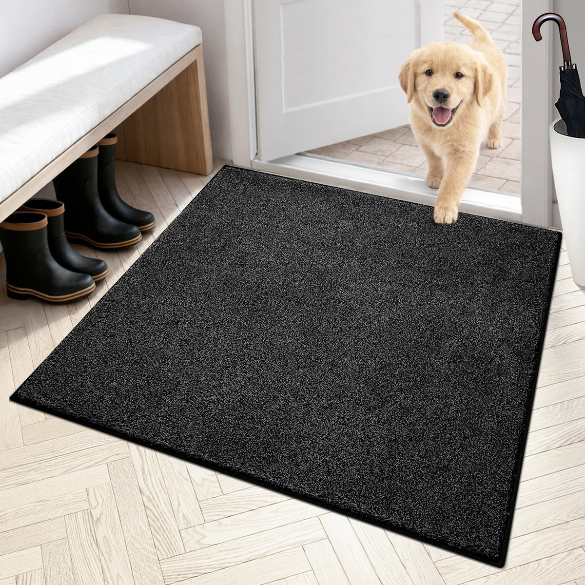PURRUGS Dirt Trapping Indoor Door Mat, 24" x 35.5", Charcoal