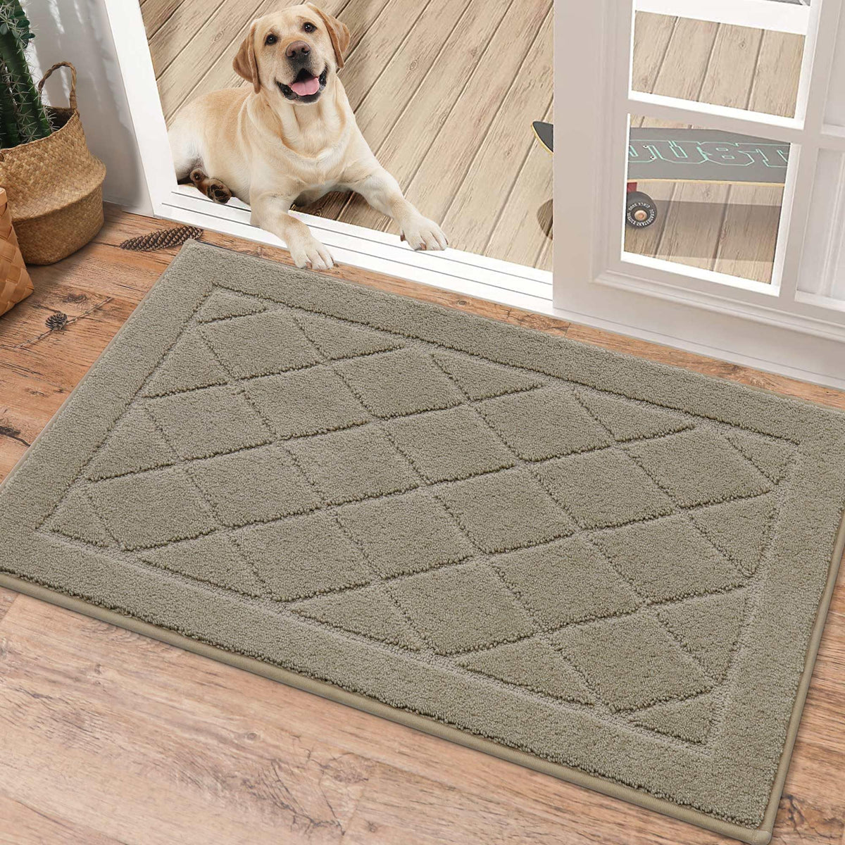 BEQHAUSE Dirt Trapper Door Mat 24" x 36", Doormat Non-Slip, Dark Grey
