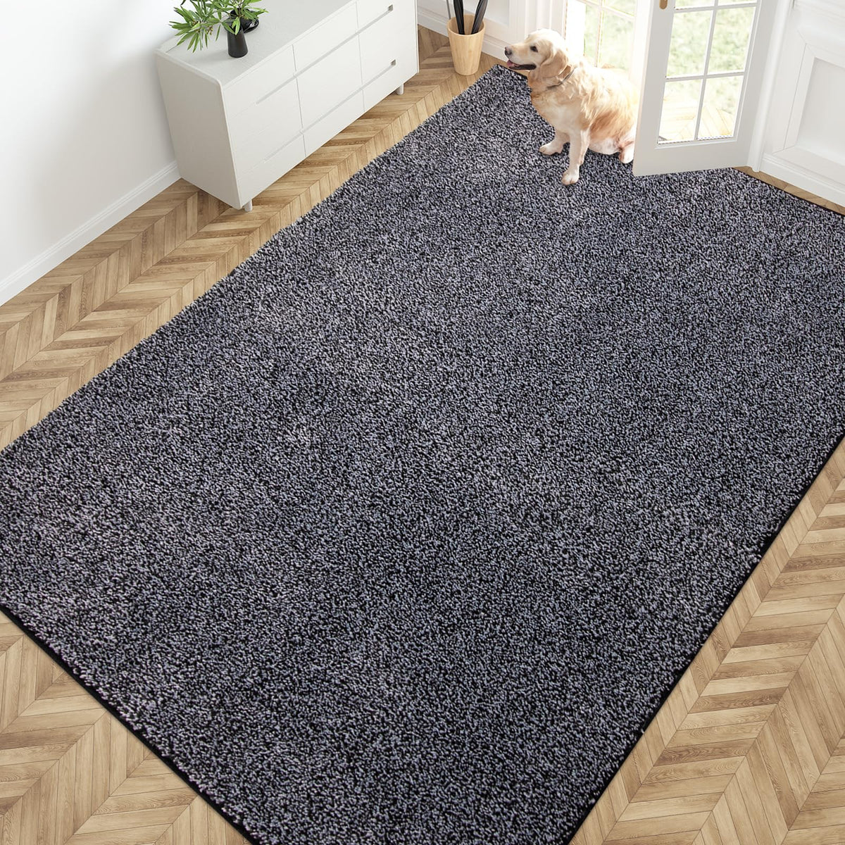 PURRUGS Dirt Trapping Indoor Door Mat, 24" x 35.5", Charcoal