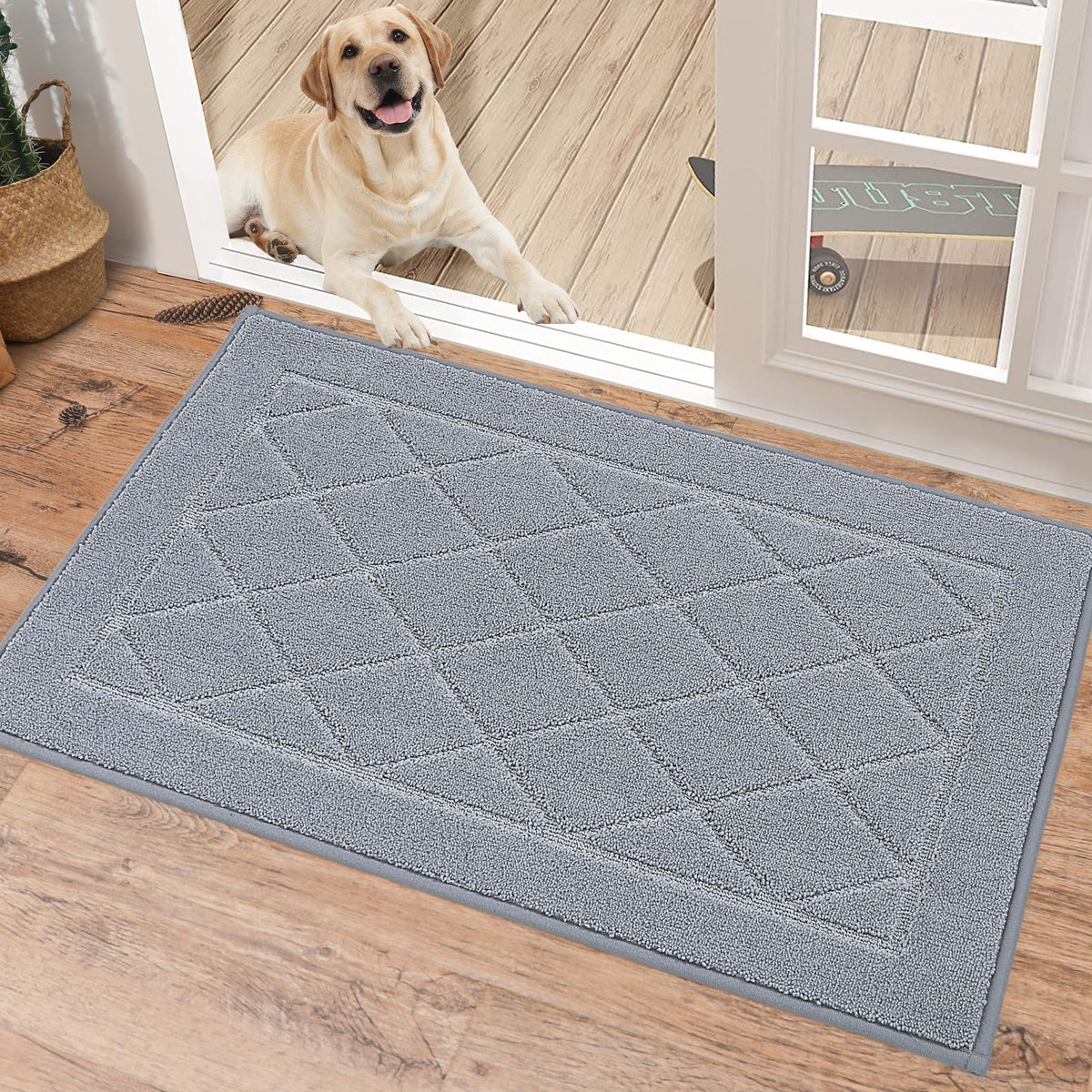 BEQHAUSE Dirt Trapper Door Mat 24" x 36", Doormat Non-Slip, Dark Grey