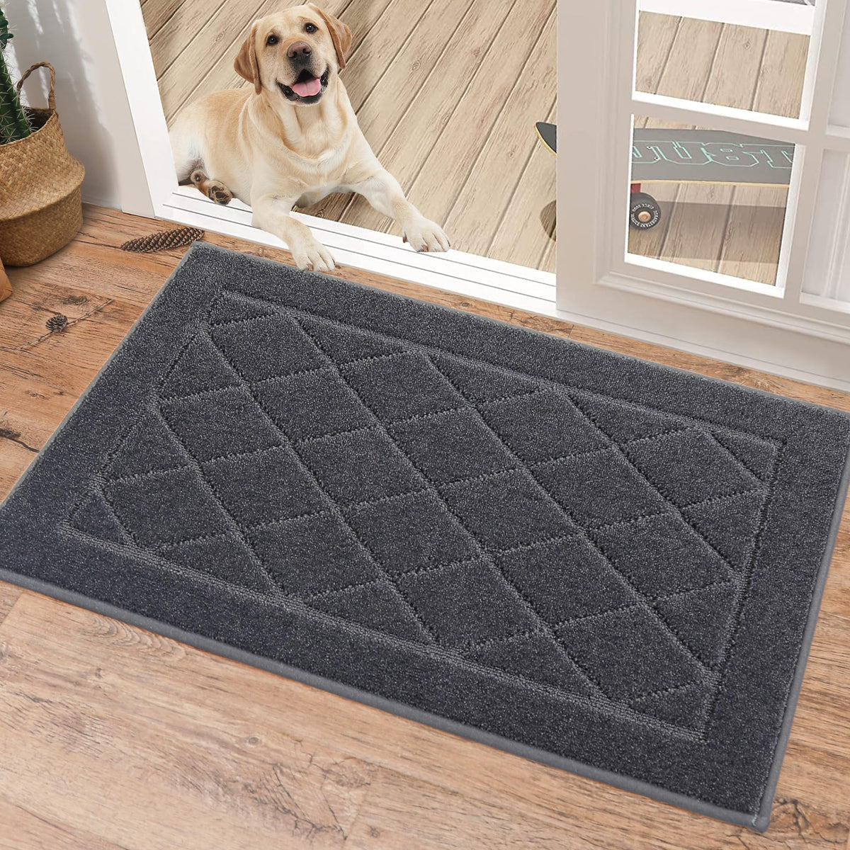 BEQHAUSE Dirt Trapper Door Mat 24" x 36", Doormat Non-Slip, Dark Grey
